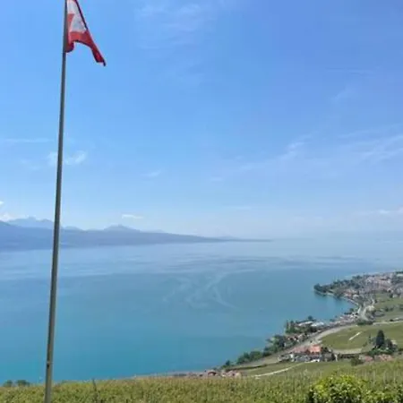 Apartman Coeur Du Lavaux, 2p. Terrasse & Jardin Panoramique *