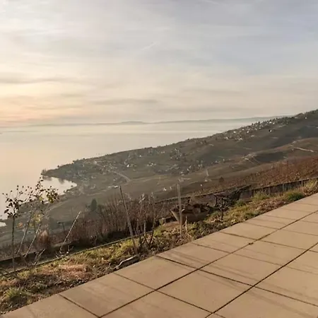 Coeur Du Lavaux, 2p. Terrasse & Jardin Panoramique