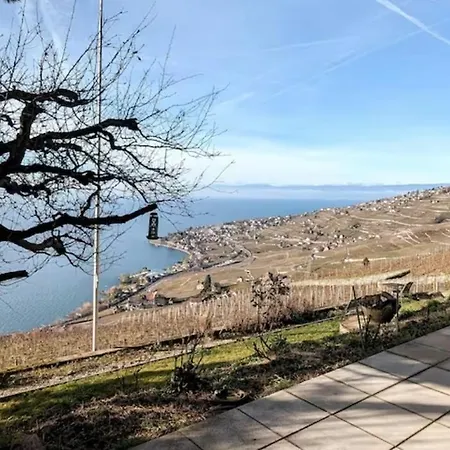 Coeur Du Lavaux, 2p. Terrasse & Jardin Panoramique Appartement