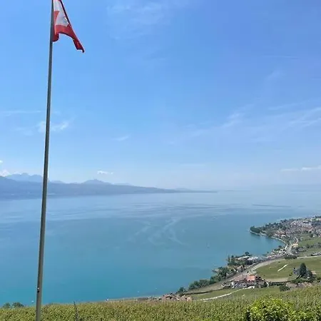 Coeur Du Lavaux, 2p. Terrasse & Jardin Panoramique Appartement Cully